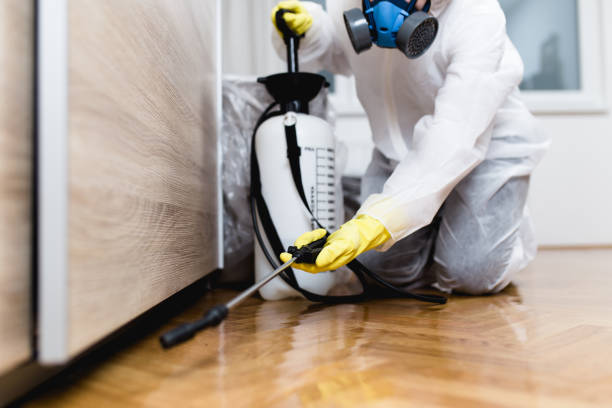 Best Affordable Exterminators  in Jessup, MD