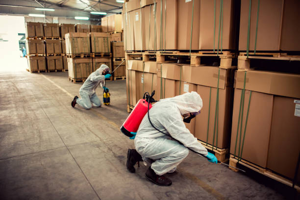 Best Local Pest Control Services  in Jessup, MD