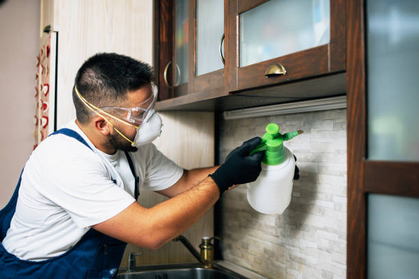 Best Mosquito Control Services  in Jessup, MD