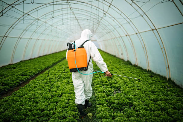 Best Commercial Pest Control Services  in Jessup, MD