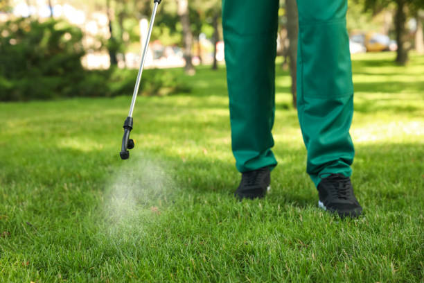 Best Pest Removal Services  in Jessup, MD