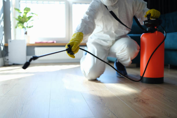 Best Flea Control Services  in Jessup, MD