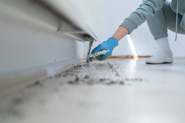 Best Cockroach Control Services  in Jessup, MD